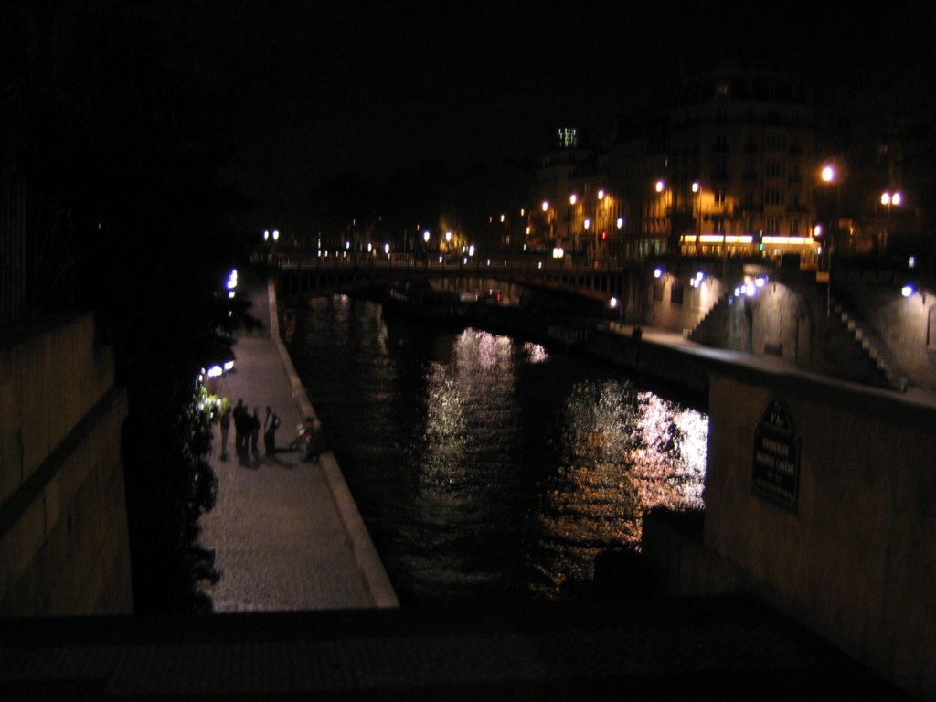 riverinparispontnuefbridge.jpg