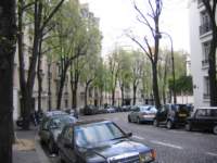 streetsofparis4_small.jpg